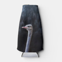 Ostrich Photography