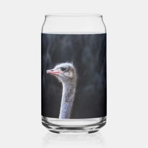 Ostrich Photography Can Glass