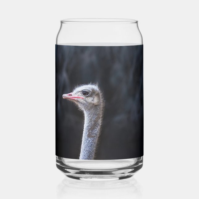 Ostrich Photography Can Glass (Front)