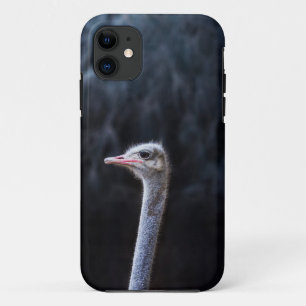 Ostrich Photography iPhone 11 Case