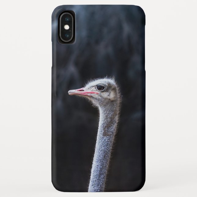 Ostrich Photography Case-Mate iPhone Case (Back)