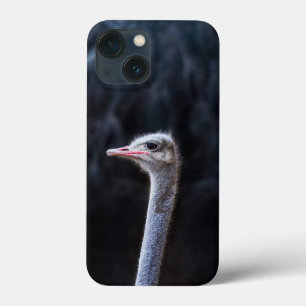 Ostrich Photography iPhone 13 Mini Case