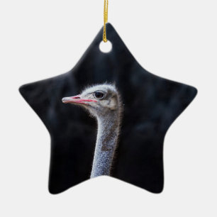 Ostrich Photography Ceramic Ornament