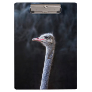 Ostrich Photography Clipboard