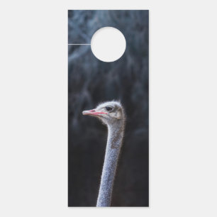 Ostrich Photography Door Hanger