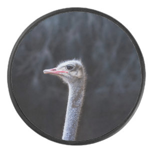 Ostrich Photography Hockey Puck