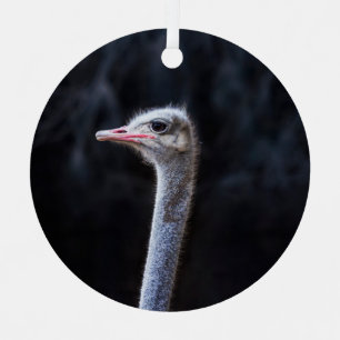 Ostrich Photography Metal Ornament
