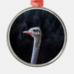 Ostrich Photography Metal Ornament