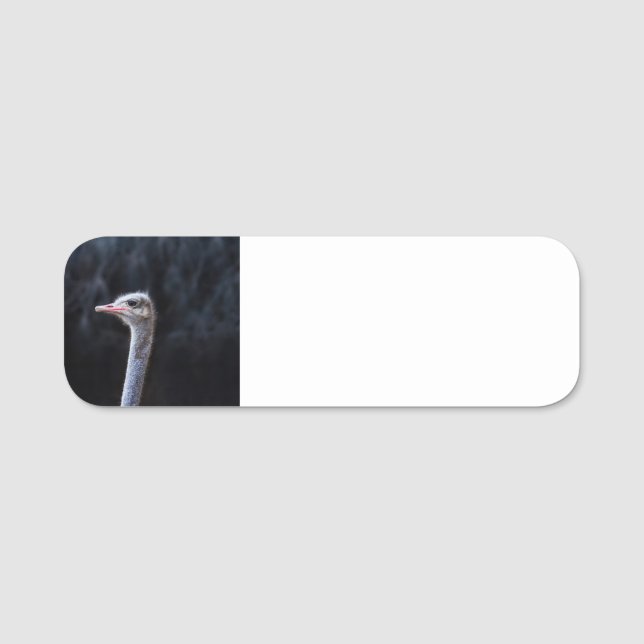 Ostrich Photography Name Tag (Front)