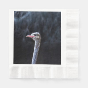 Ostrich Photography Napkin