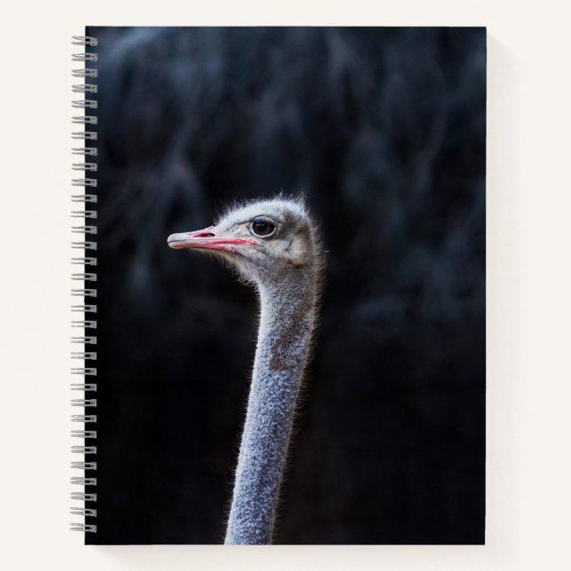 Ostrich Photography Notebook (Front)