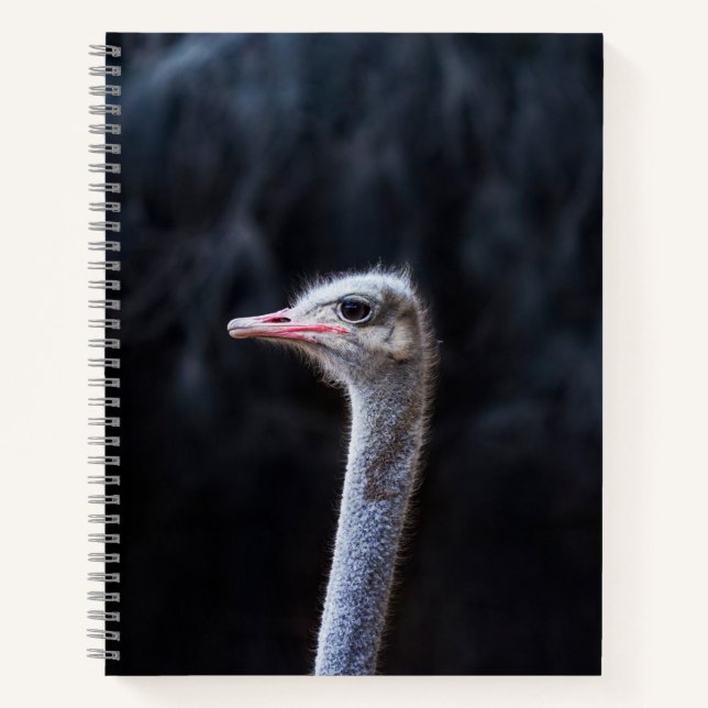 Ostrich Photography Notebook (Front)