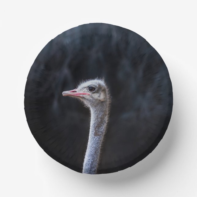 Ostrich Photography Paper Plate (Front)
