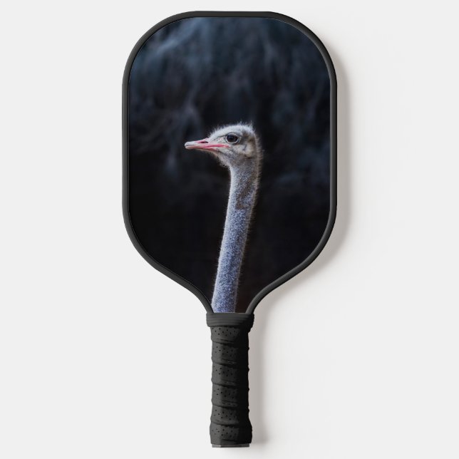 Ostrich Photography Pickleball Paddle (Front)