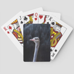 Ostrich Photography Playing Cards