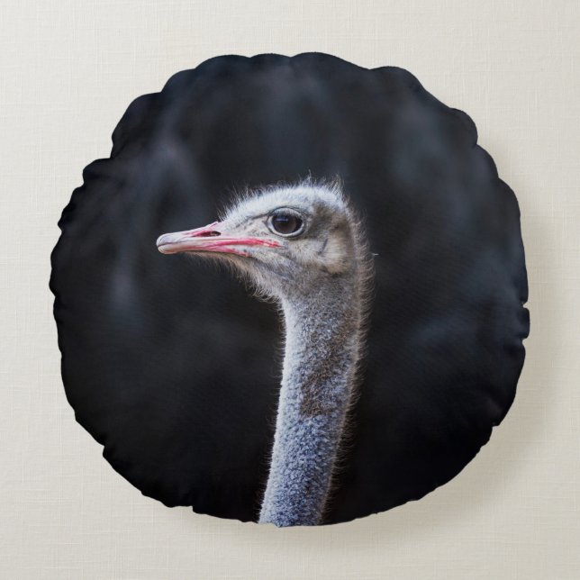 Ostrich Photography Round Pillow (Front)