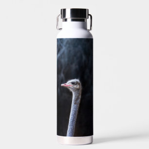 Ostrich Photography Water Bottle