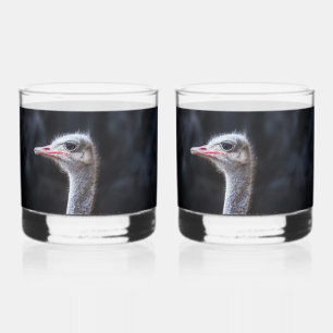 Ostrich Photography Whiskey Glass
