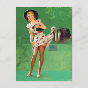 Ostrich Pin Up Postcard