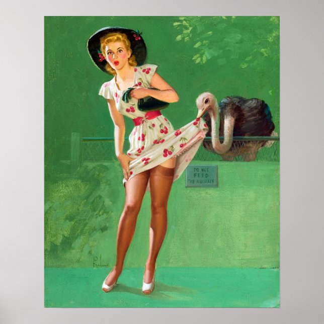 Ostrich Pin Up Poster (Front)