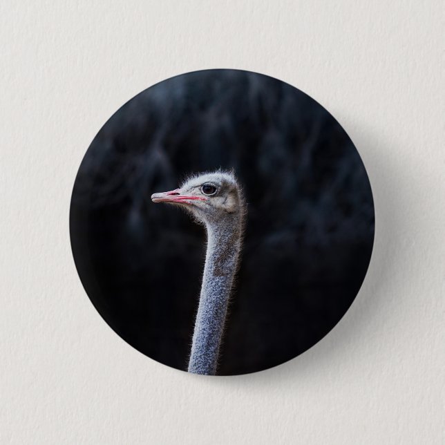 ostrich portrait   2 inch round button (Front)