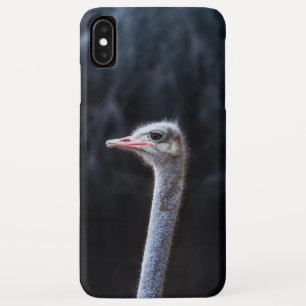 ostrich portrait     iPhone XS max case