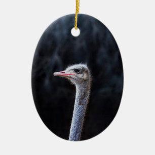 ostrich portrait    ceramic ornament