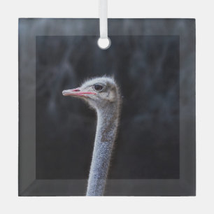 ostrich portrait glass ornament