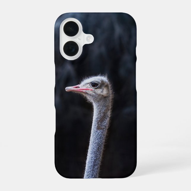 ostrich portrait     iPhone 16 case (Back)