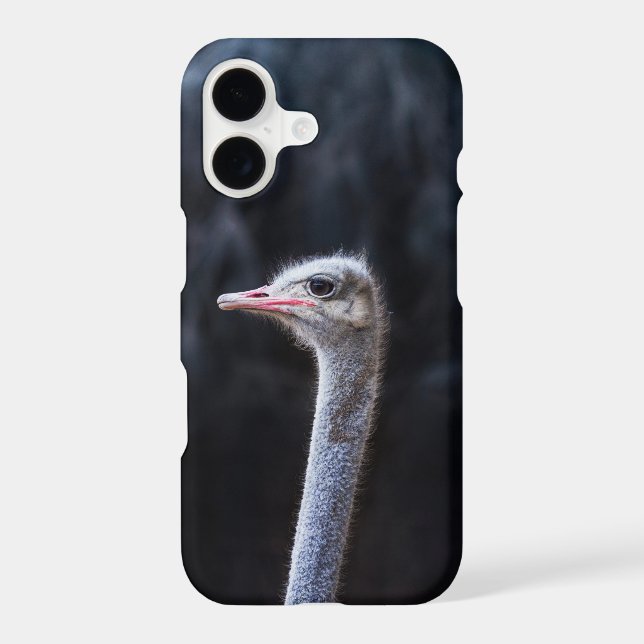 ostrich portrait     iPhone case (Back)