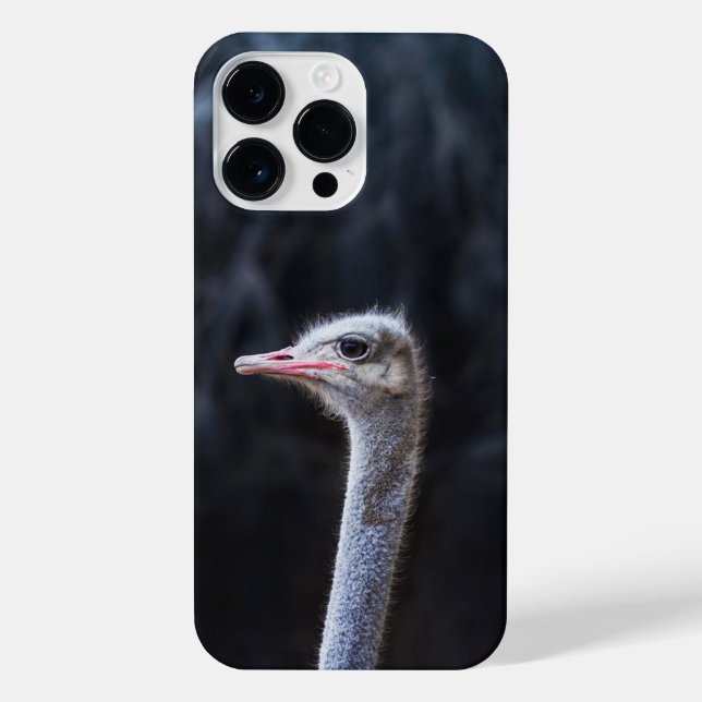 ostrich portrait     iPhone case (Back)