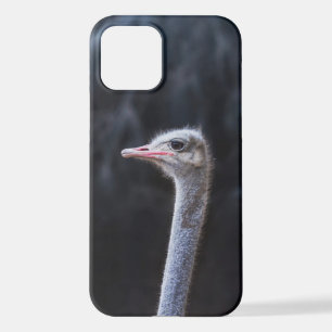 ostrich portrait     iPhone 12 case