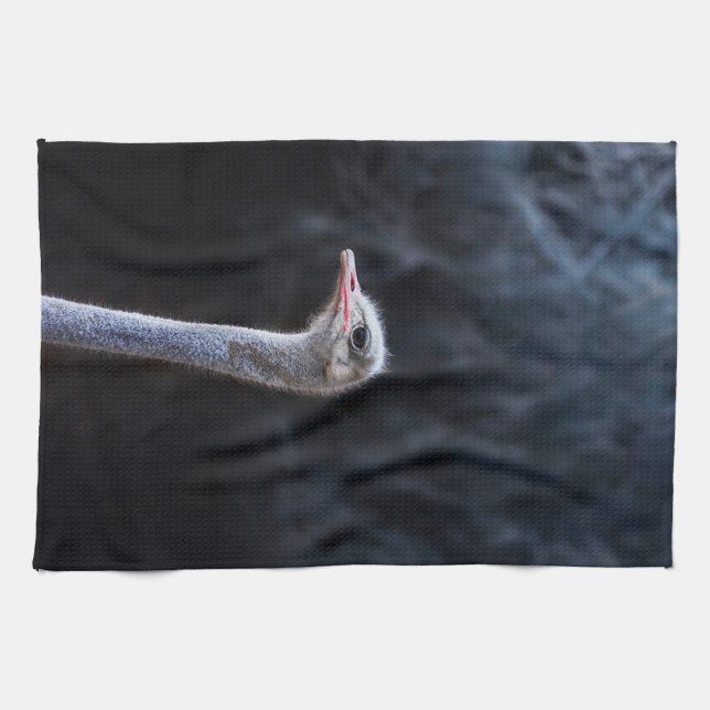 ostrich portrait   kitchen towel (Horizontal)