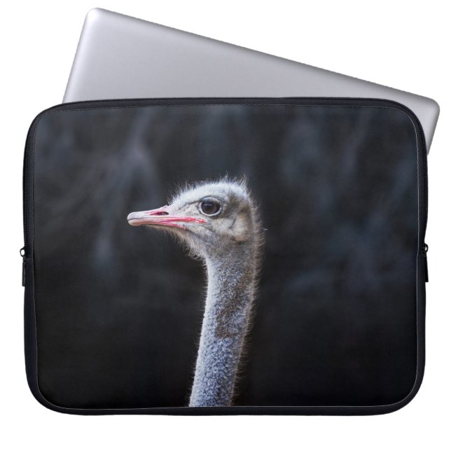 ostrich portrait     laptop sleeve (Front)