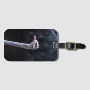 ostrich portrait luggage tag
