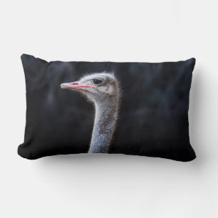 ostrich portrait   lumbar pillow