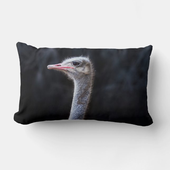ostrich portrait   lumbar pillow (Front)