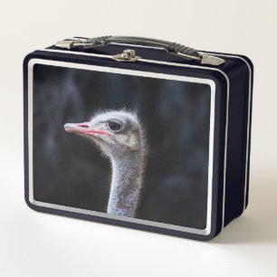ostrich portrait   metal lunch box