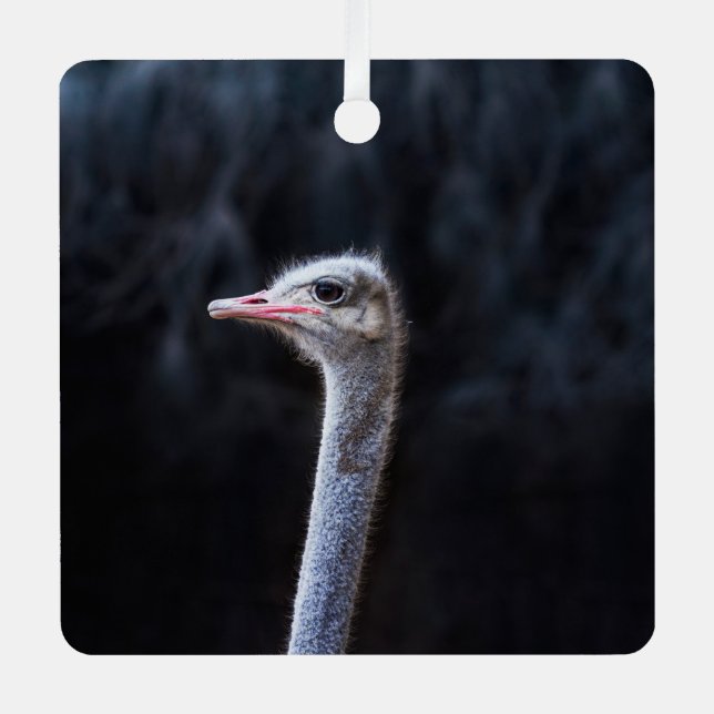 ostrich portrait  metal ornament (Front)