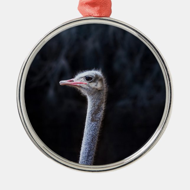 ostrich portrait    metal ornament (Front)