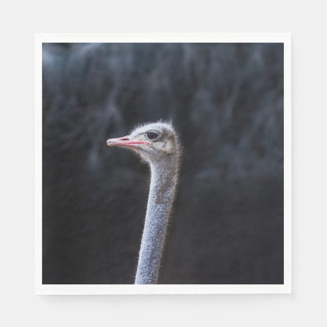 ostrich portrait   napkin (Front)