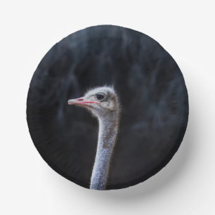 ostrich portrait     paper plate