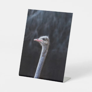 ostrich portrait pedestal sign