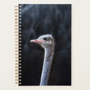 ostrich portrait    planner