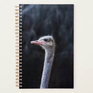 ostrich portrait planner