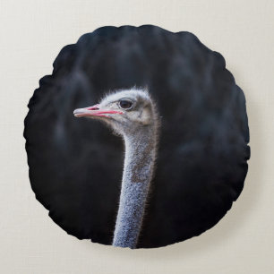 ostrich portrait round pillow