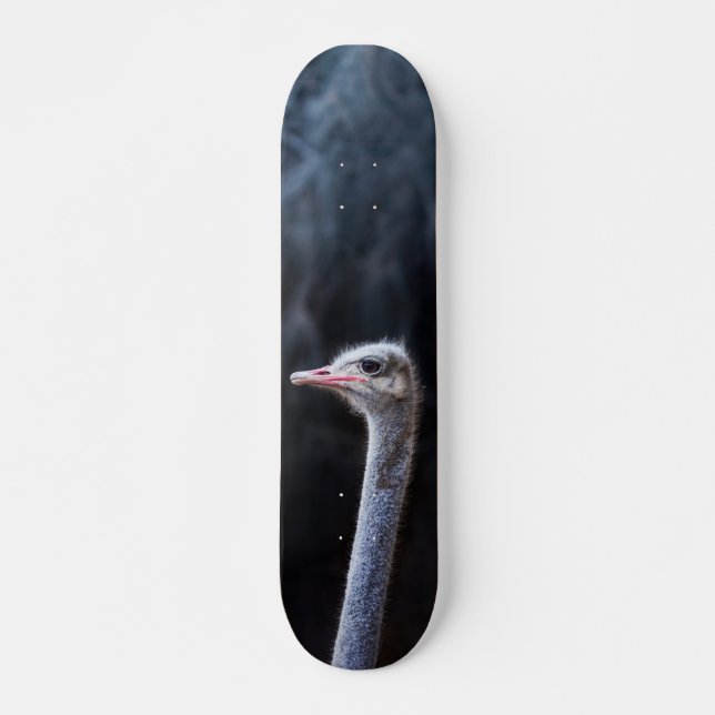 ostrich portrait     skateboard (Front)