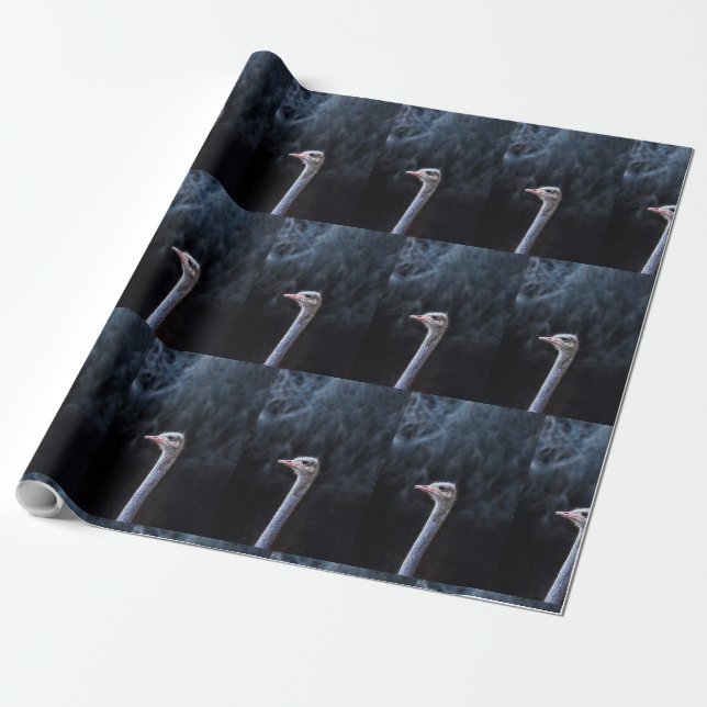 ostrich portrait  wrapping paper (Unrolled)