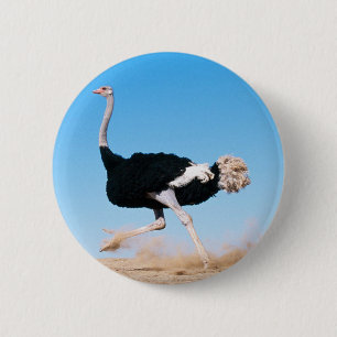 Ostrich Running Button