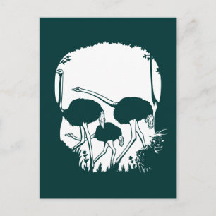 Ostrich Skull Illusion Postcard